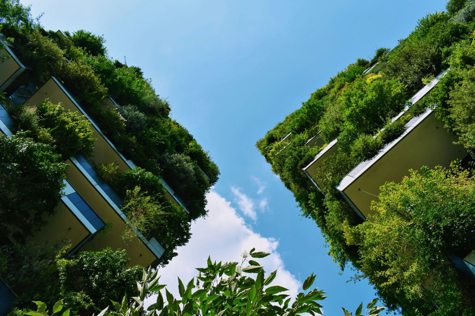 5. Bosco Verticale – Milano, Italia