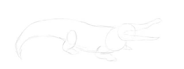 How to Draw Easy Realistic Alligator: A Step-by-Step Guide How to Draw Easy Realistic Alligator: A Step-by-Step Guide