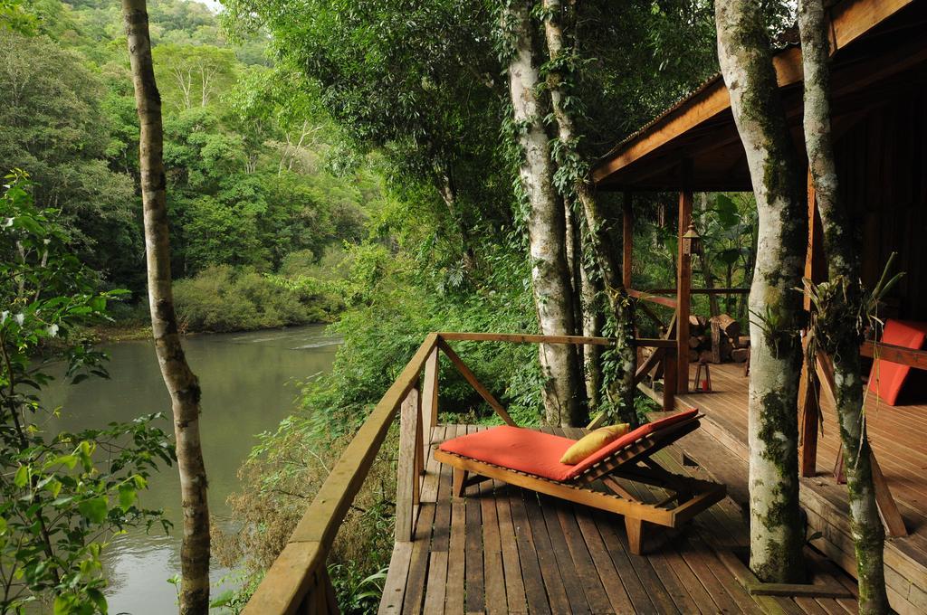 Hotel en el medio de la selva comprometido con el turismo regenerativo 