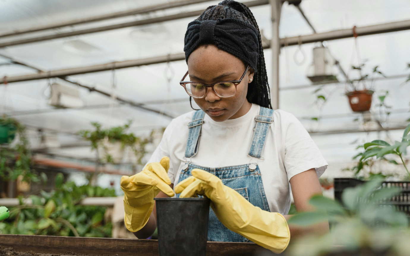 A person wearing yellow gloves and holding a plantDescription automatically generated