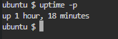uptime -p