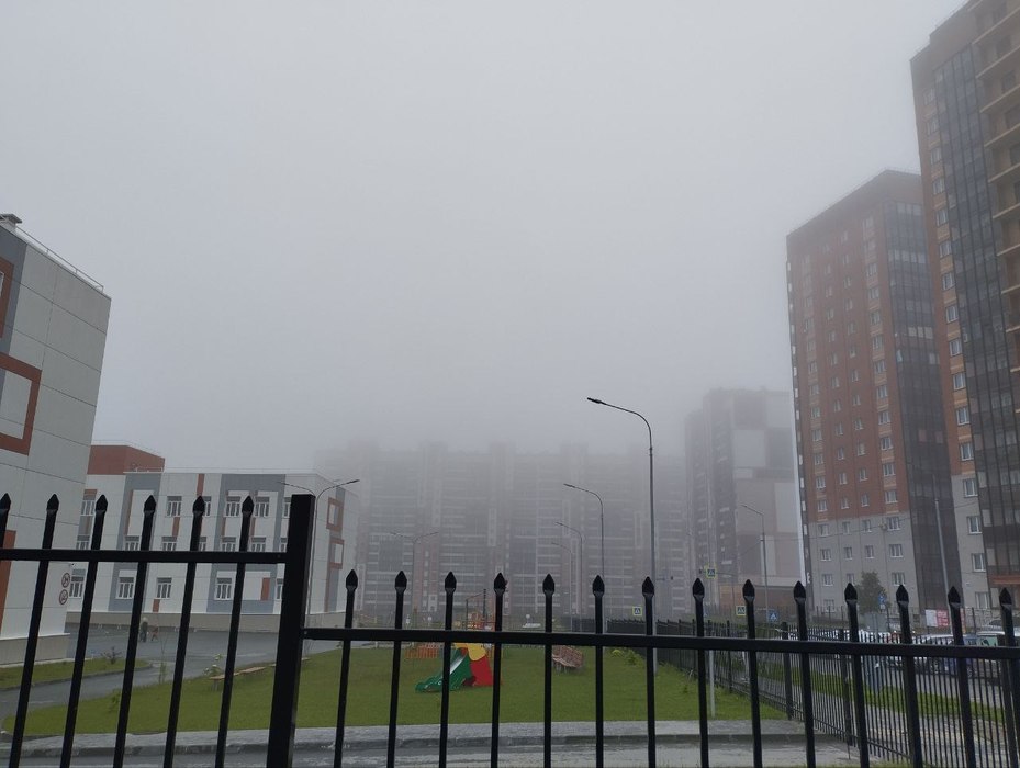 Фото 7 июня Новосибирск окутало густым туманом. 13 фото природного явления с улиц города 12
