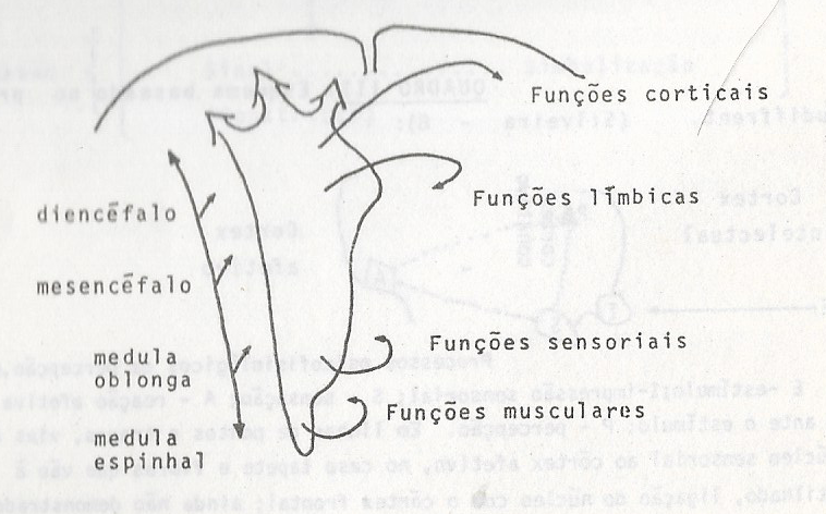 Diagrama<br><br>Descrição gerada automaticamente