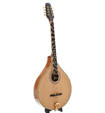 Gold Tone OM-800 Plus Octave Mandolin with Pickup & Case