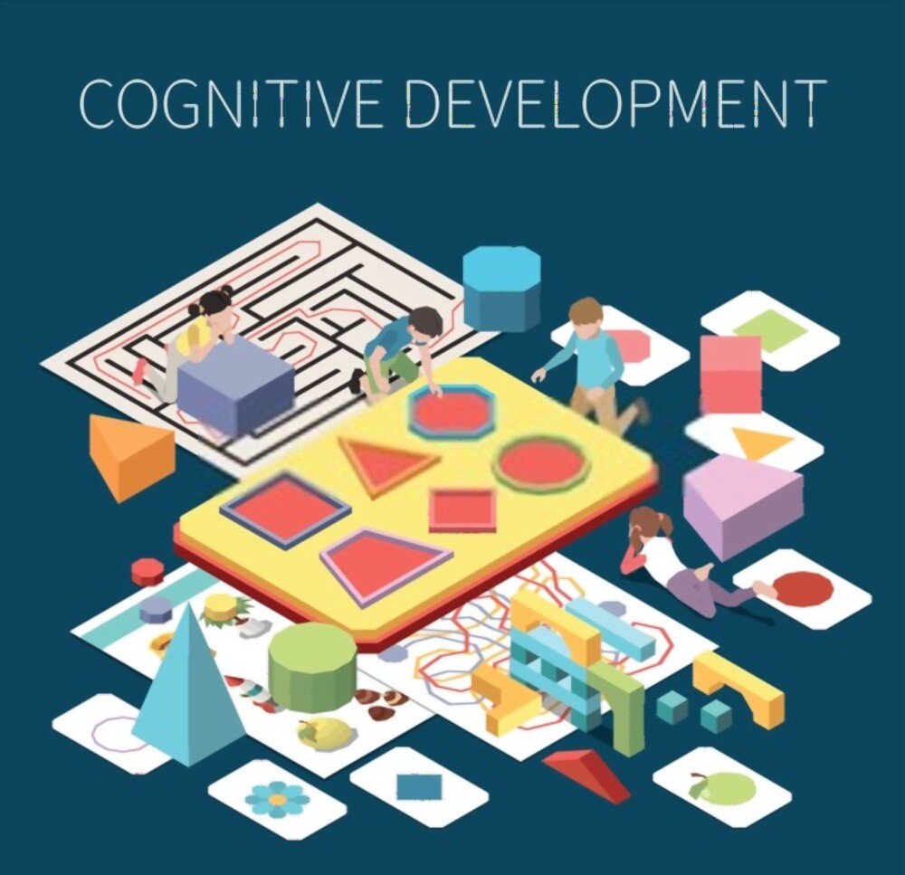 What role do schools play in improving children’s cognitive abilities?