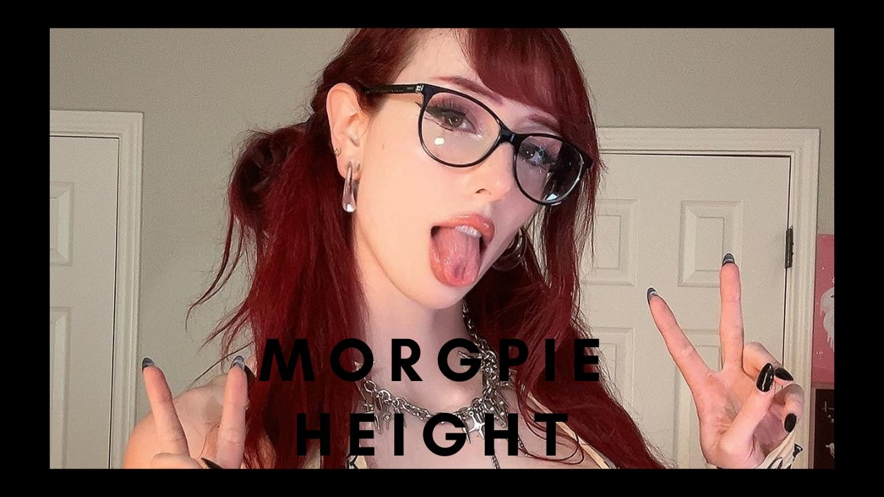 Morgpie Height