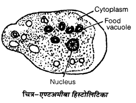 UP Board Solutions for Class 12 Biology Chapter 8 Human Health and Disease 2Q.2