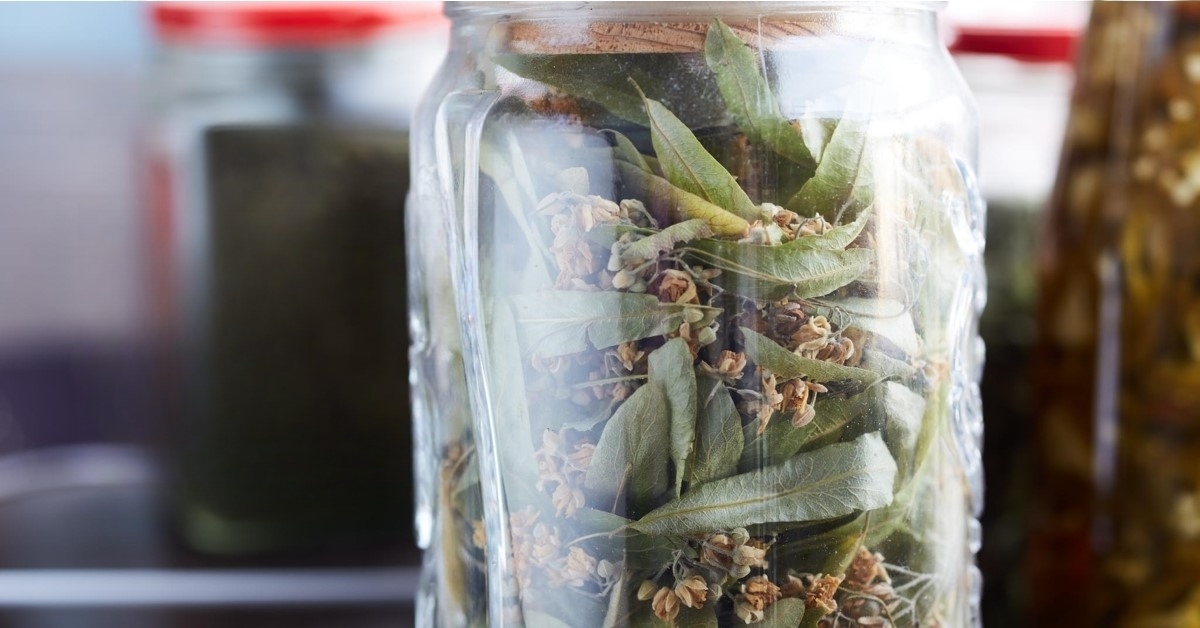 Best Ways To Preserve Vegetables