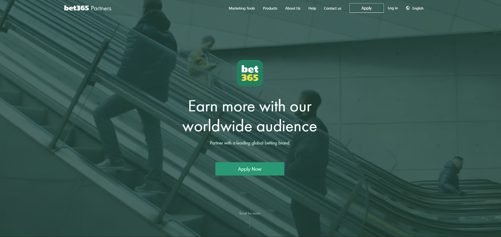 bet365 online gambling affiliate program