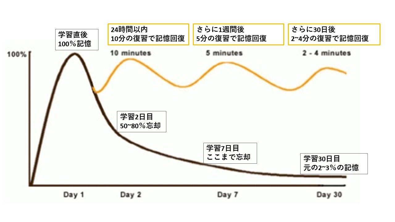 英語 スピーキング コツ