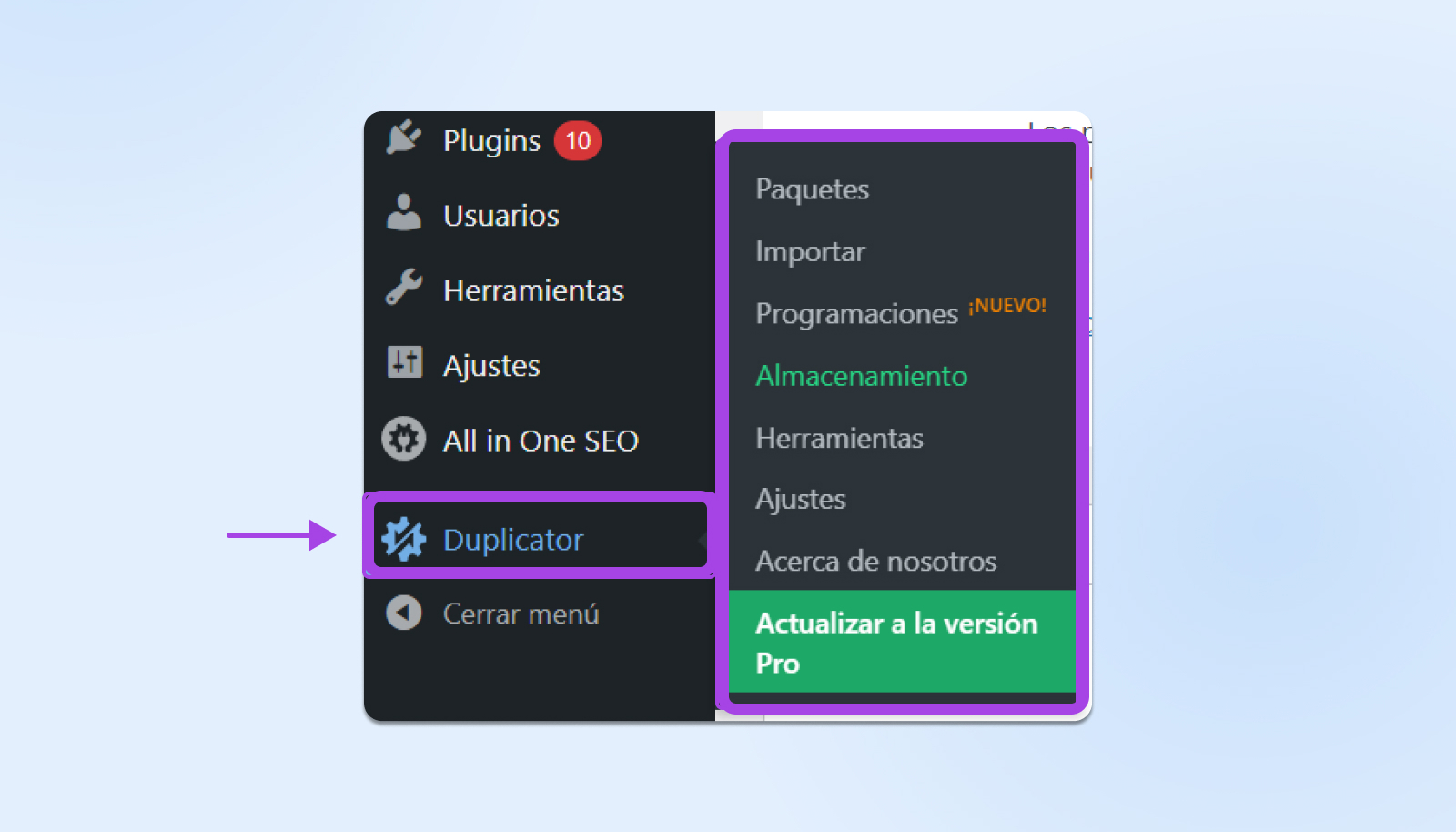 Menú WordPress, opciones del plugin Duplicator