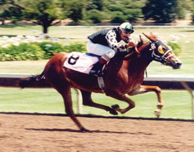 Mule race. Source: diy horse ownership