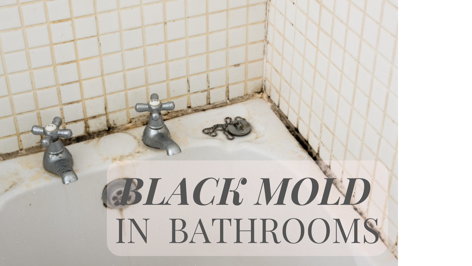 black mold in bathroom