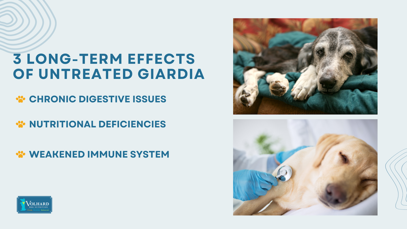 Long-term effects of untreated giardia