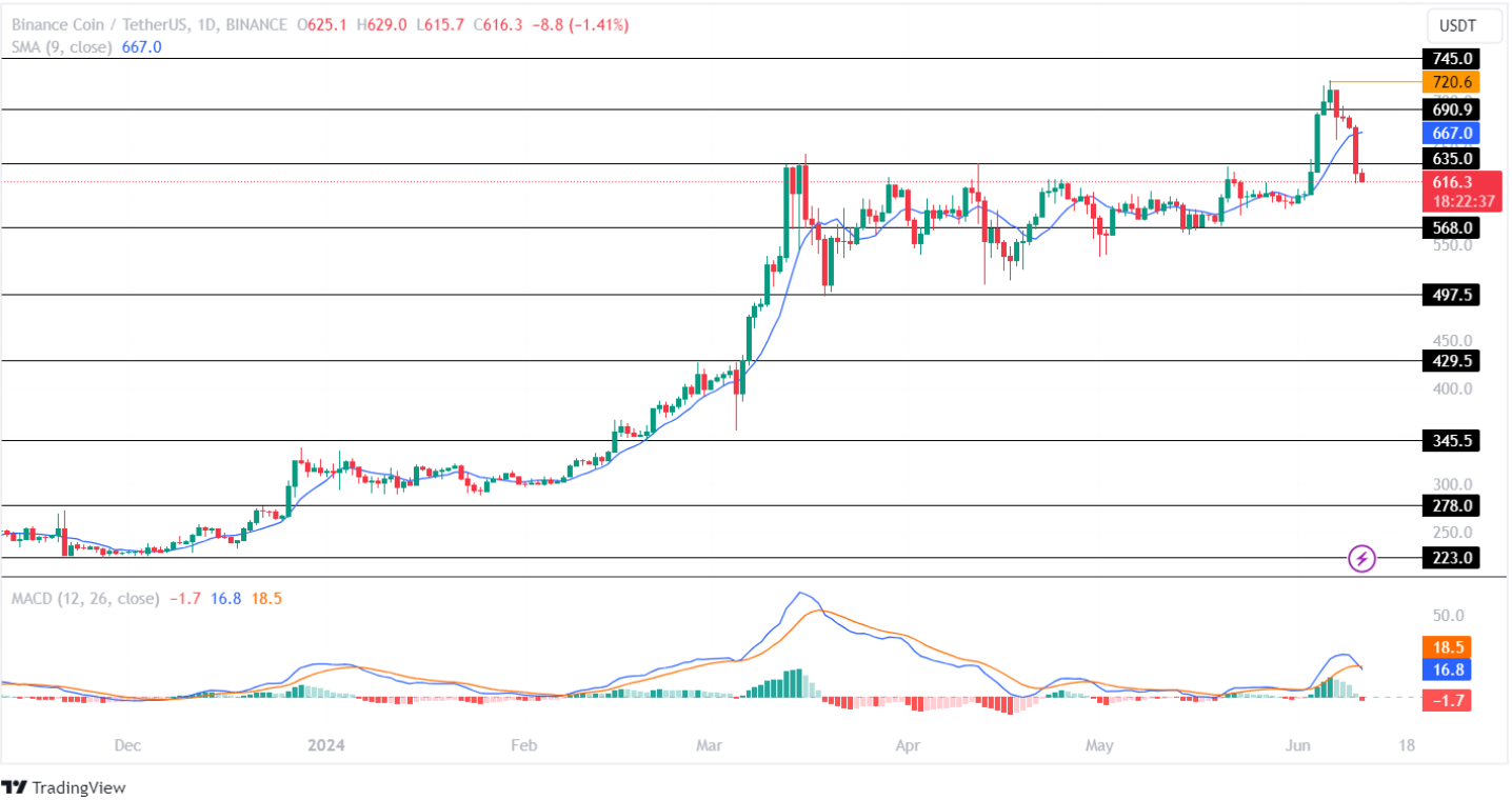 Binance Price Plummets 15% Since ATH! BNB Coin To Retest Its $550 Mark Soon?