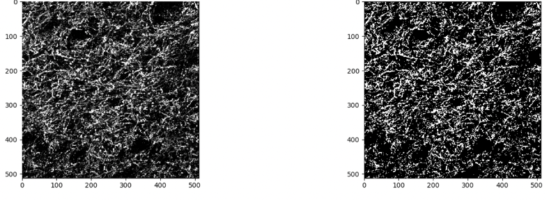 Figure 1.  Example of input image (at left) and CellProfiler binarized image (at right).