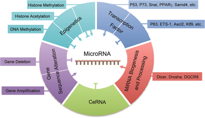 microRNAs