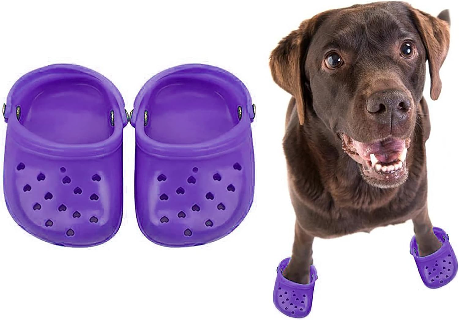 Crocs For Dogs
