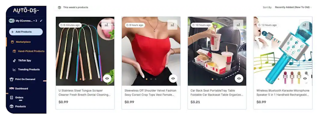 streamline-your-dropshipping-business-with-automation