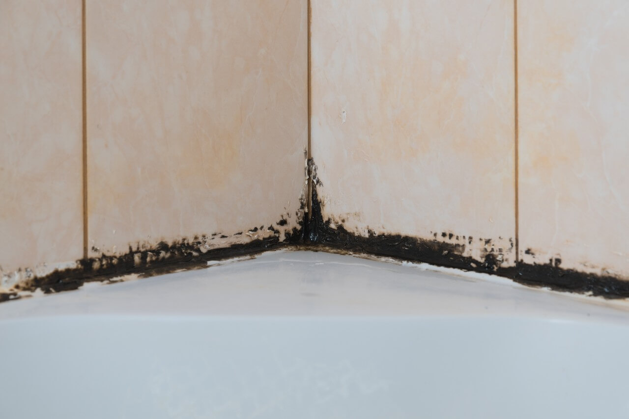 mold on shower caulk