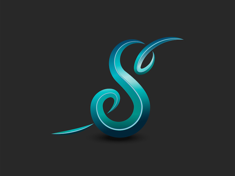 Stylish S Letter DP in aqua colour