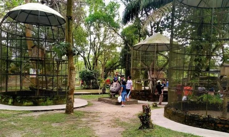 Keindahan Tersembunyi di Riau, 7 Destinasi Wisata Menakjubkan