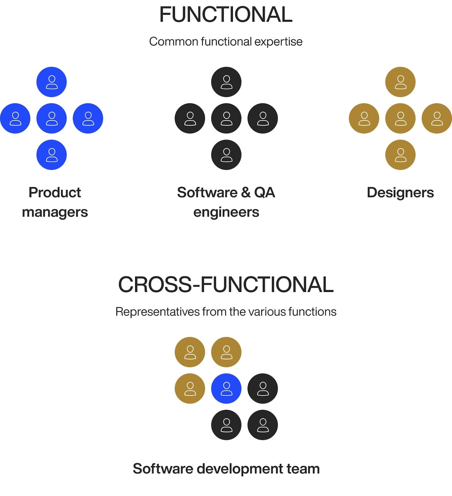 Functional vs cross-functional team