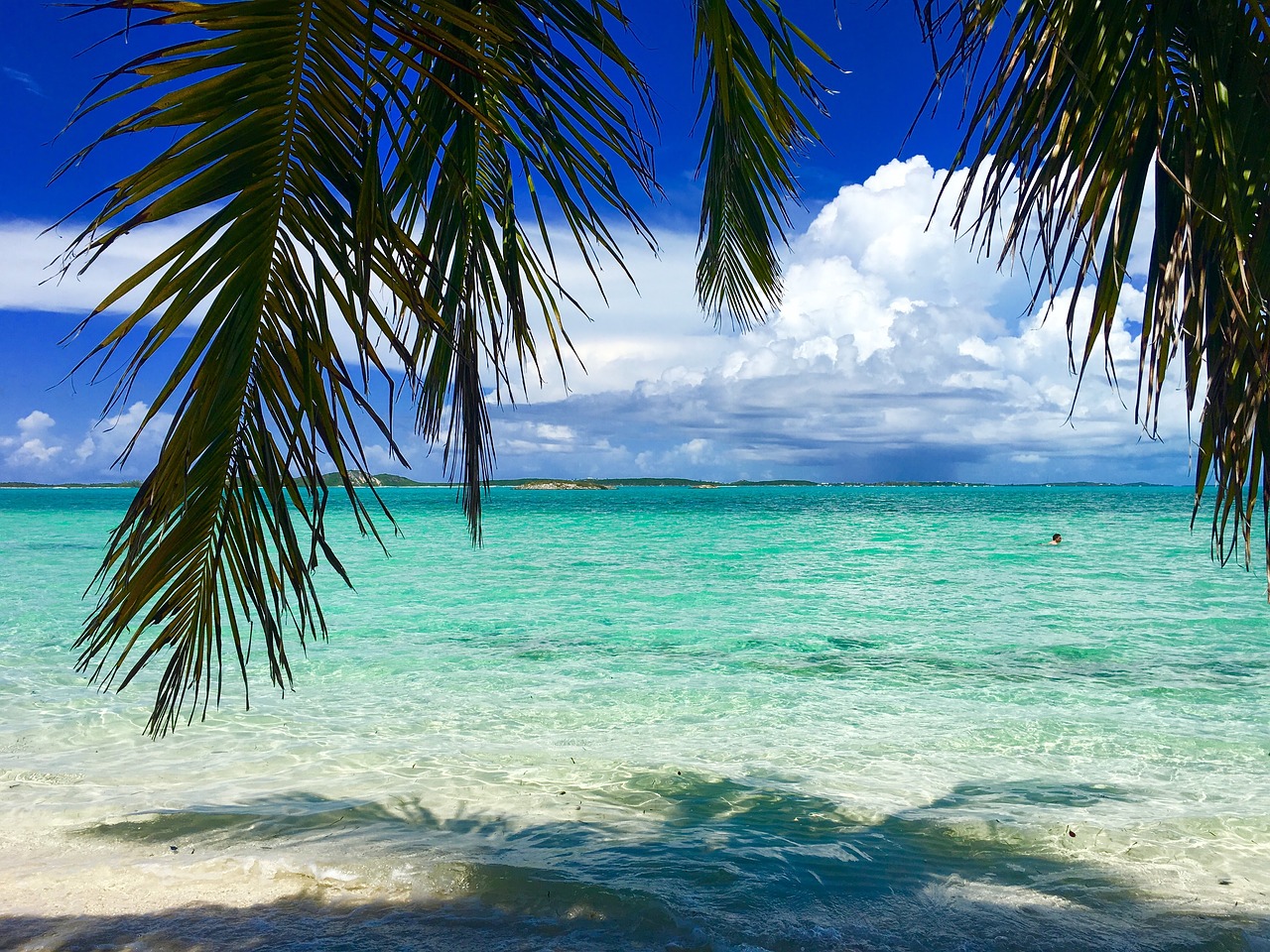 Turquoise water and palm trees in Bahamas.
