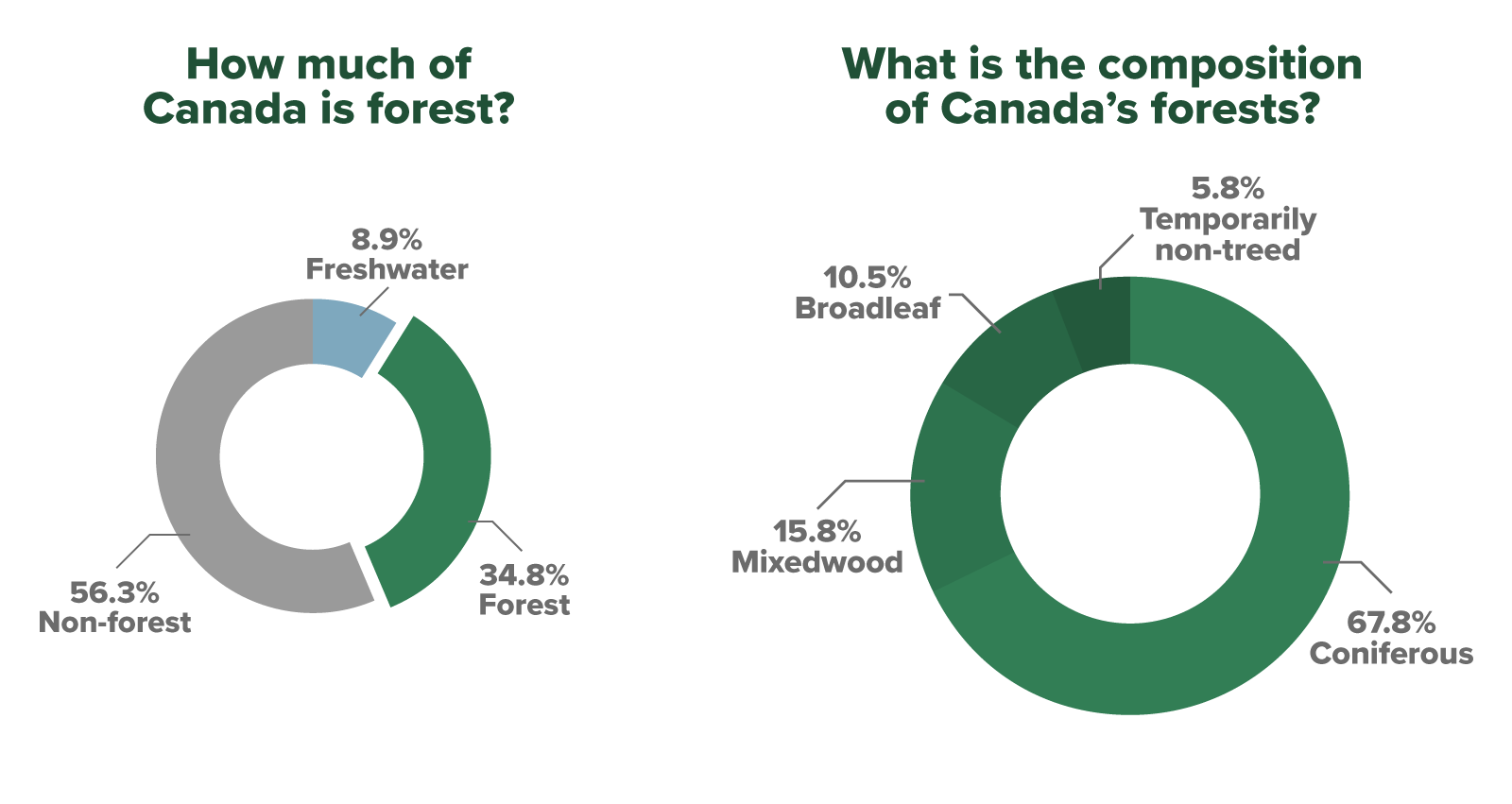 https://www.ccfm.org/wp-content/uploads/2020/09/SPARK-FII-INFOGRAPHIC-HF-VAST-Forest_Coverage@2x.png