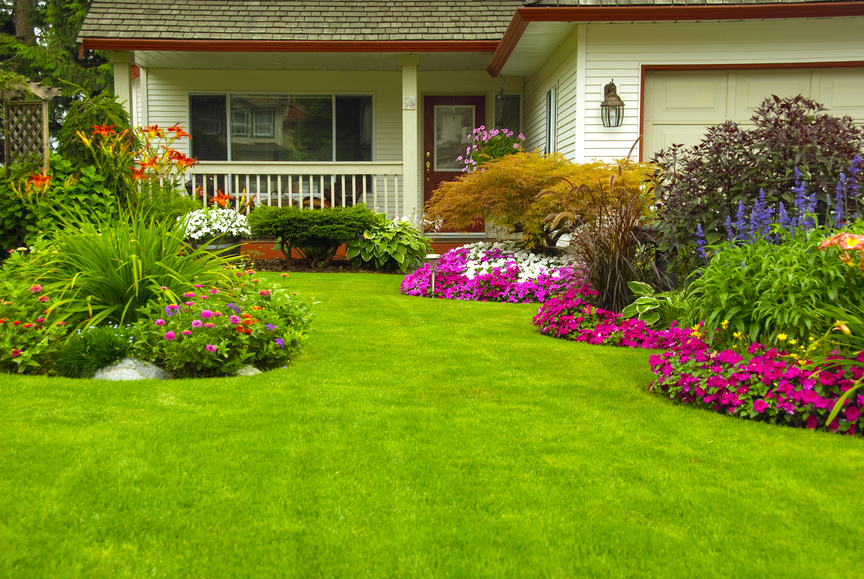 Lawn Care Service Provider