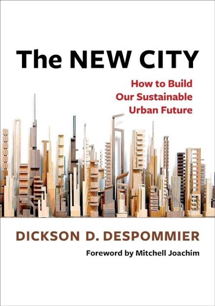 The New City book cover