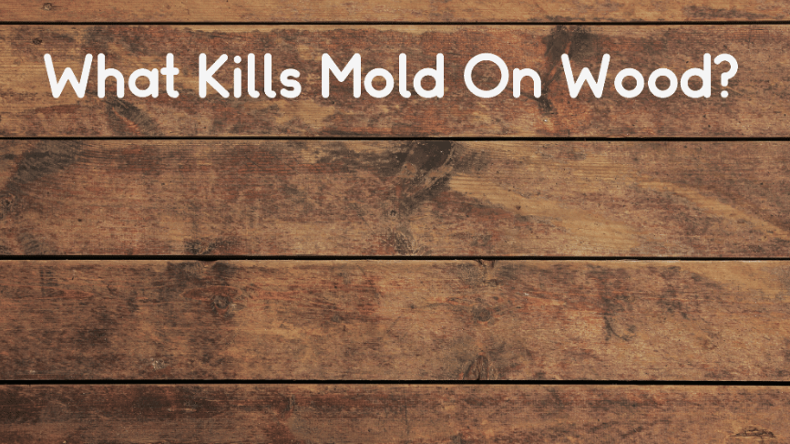 killing mold on wood