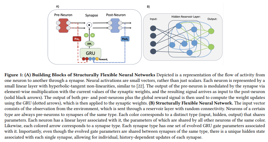 Structurally Flexible Neural Networks: An AI Approach to Solve a Symmetric Dilemma for Optimizing Units and Shared Parameters