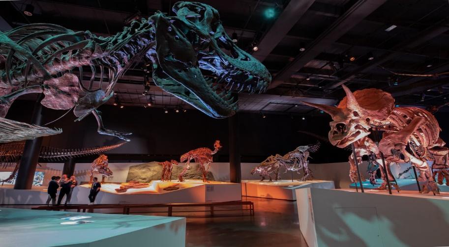 Expert's Guide: Houston Museum of Natural Science | Houstonia Magazine