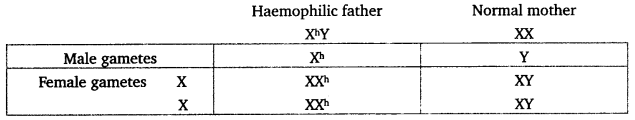 UP Board Solutions for Class 12 Biology Chapter 5 Principles of Inheritance and Variation 3Q.4