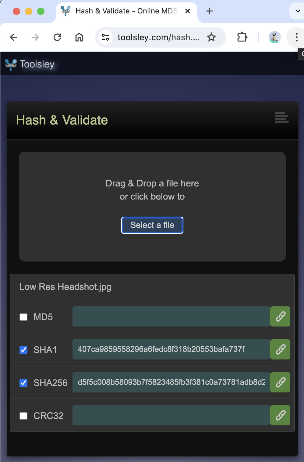 screenshot of hash value generator from toolsley