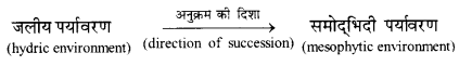 UP Board Solutions for Class 12 Biology Chapter 14 Ecosystem 3Q.2.1