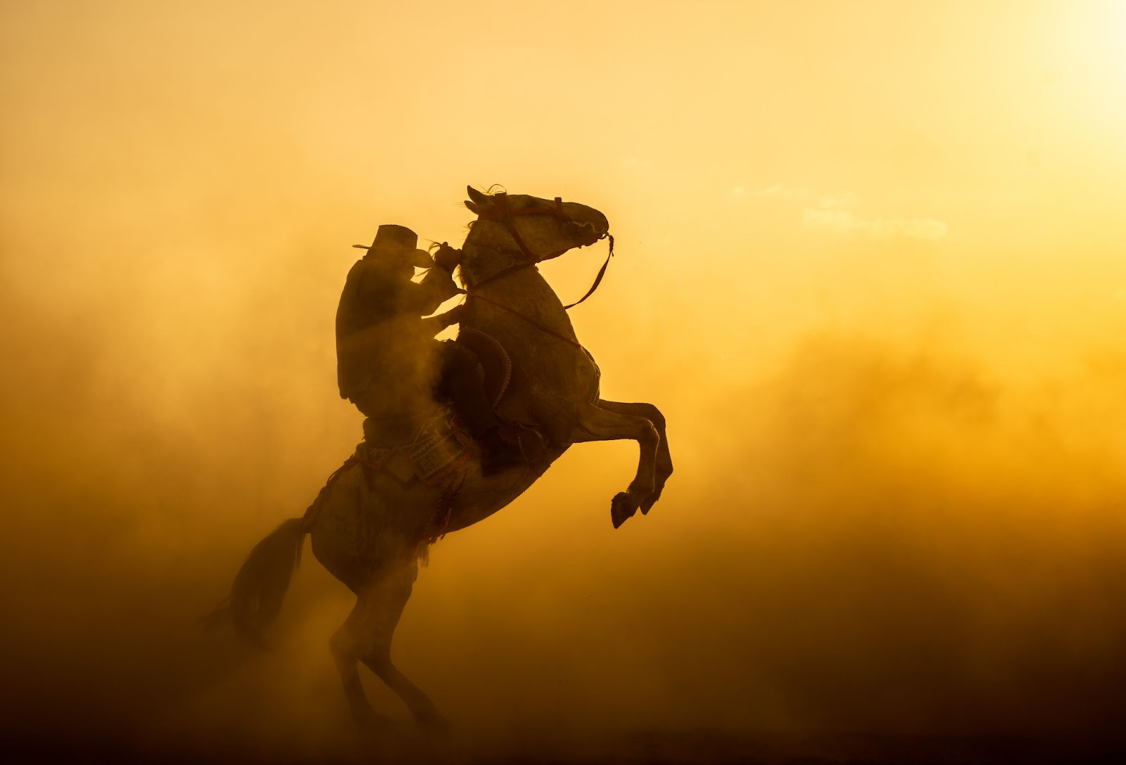 Peão montado em cavalo em meio a fumaça amarelada.