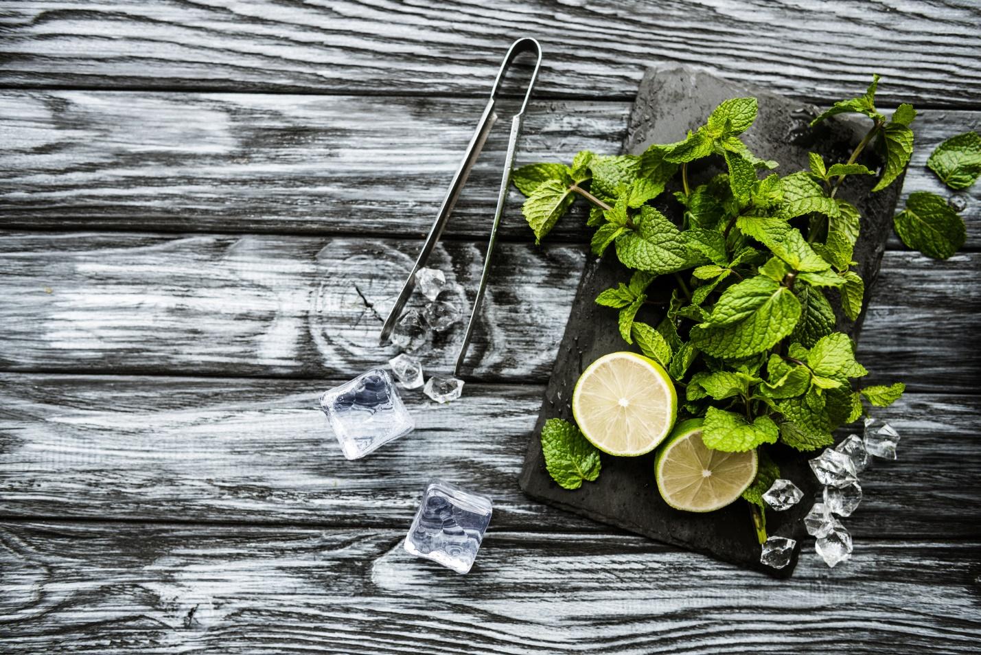 A plate of mint and limes
Description automatically generated