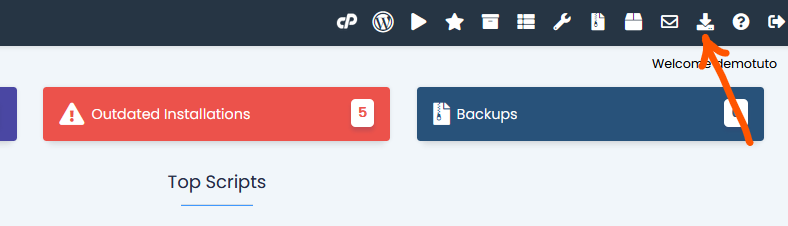 import WordPress installation