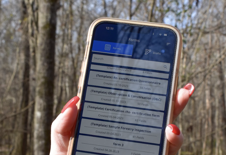 Woman with painted nails holding a cell phone with trees in the background. 