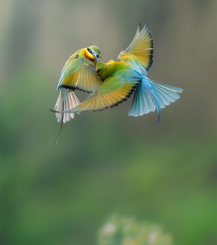 Dr. Salim Ali Bird Sanctuary 