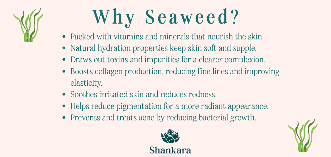 Infographic titled 'Why Seaweed?' listing seven benefits of seaweed for skin care. Benefits include: vitamins and minerals for nourishment, natural hydration, toxin removal, collagen production boost, soothing irritation, reducing pigmentation, and treating acne. Decorative seaweed illustrations frame the text, with 'Shankara' logo at the bottom.