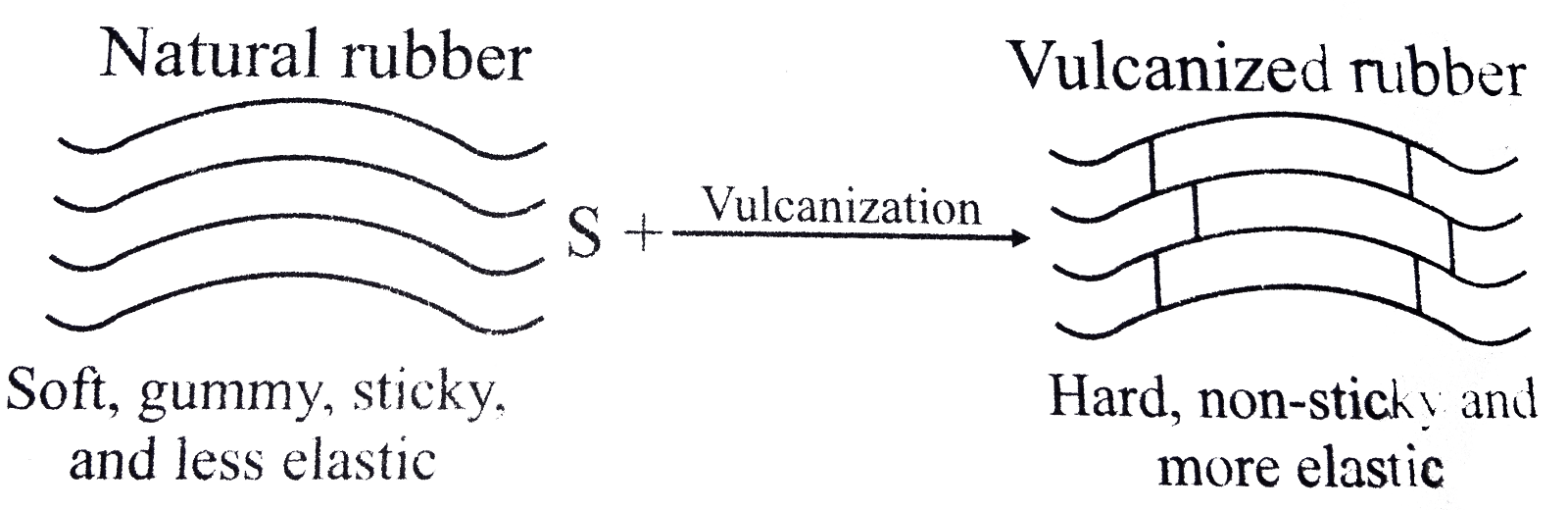 The process of vulcanistation makes rubber