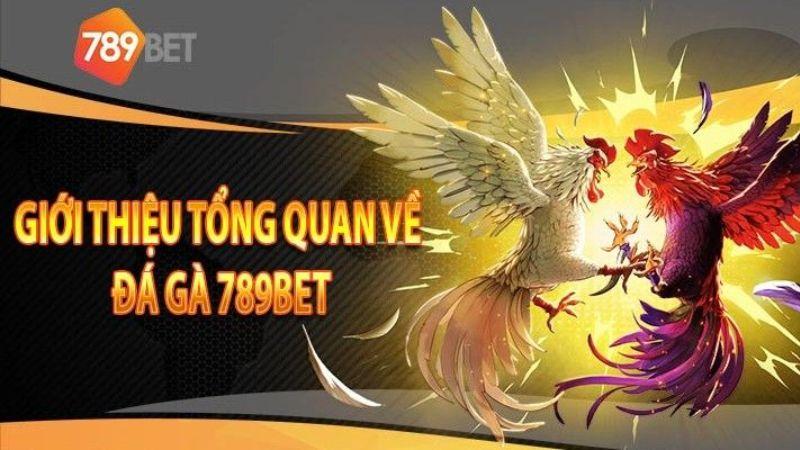 Giới thiệu về Đá Gà 789bet