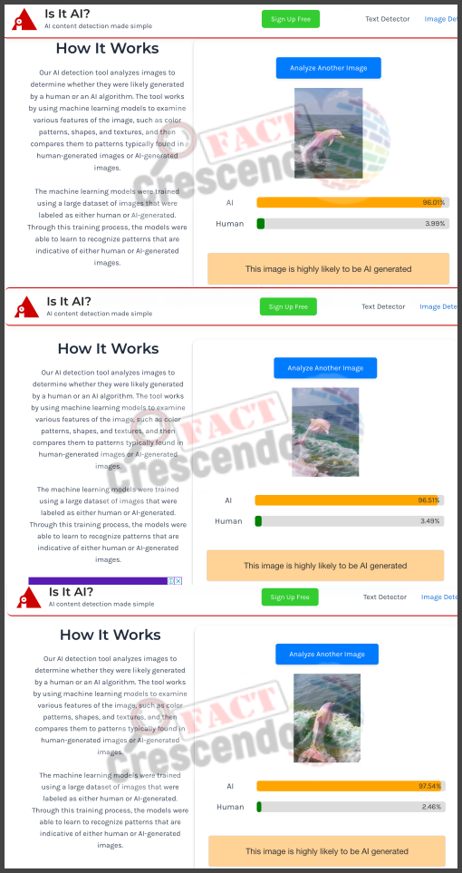 A screenshot of a computer

Description automatically generated