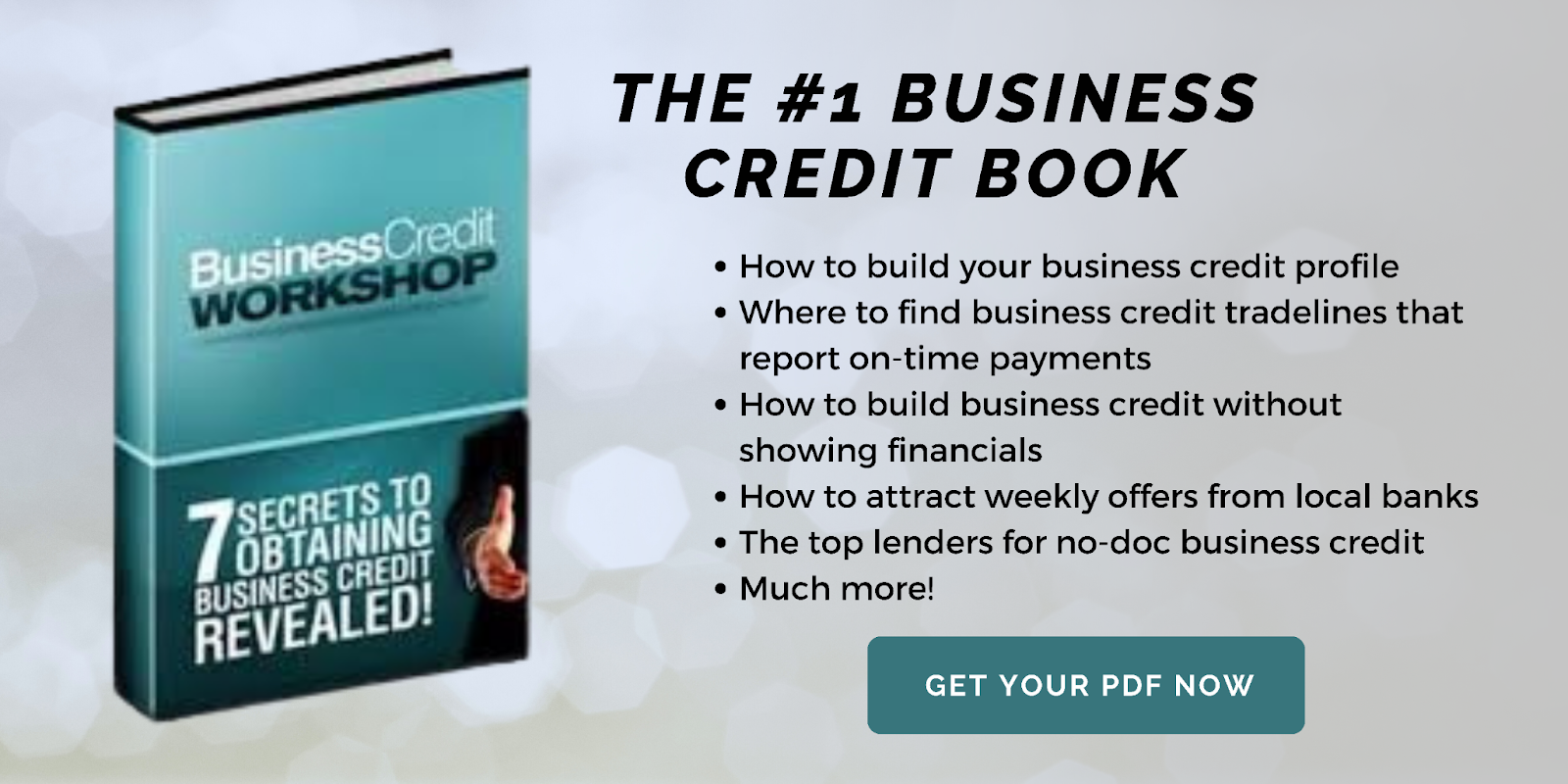 Business Credit Books