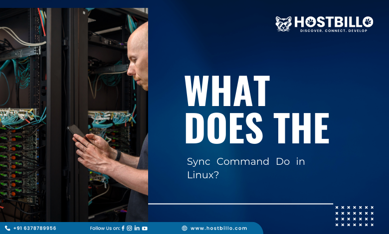 What Does the Sync Command Do in Linux?