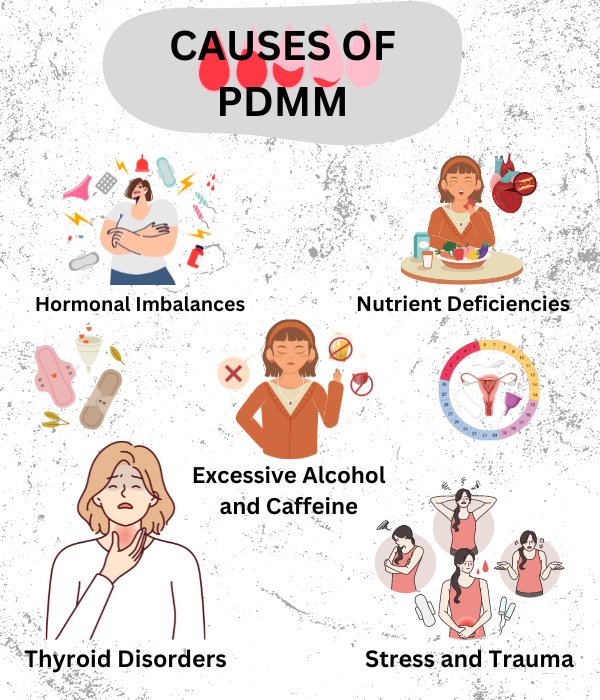 Infographic showing causes of PMDD: Hormonal Imbalances, Nutrient Deficiencies, Thyroid Disorders, Excessive Alcohol and Caffeine, Stress and Trauma