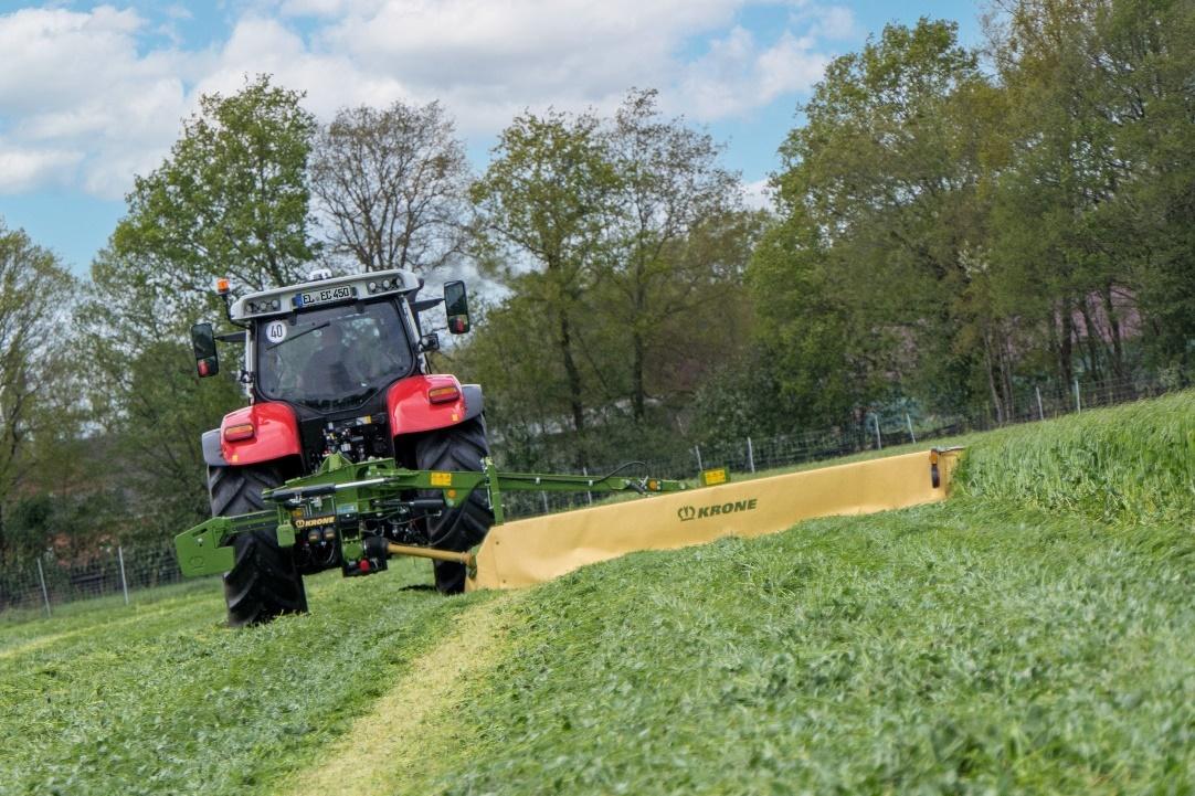 Ein Bild, das draußen, Gras, Himmel, Baum enthält. Automatisch generierte Beschreibung